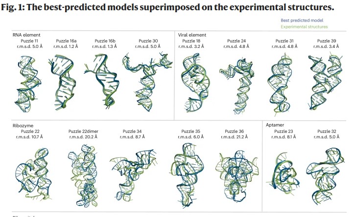 graphical abstract